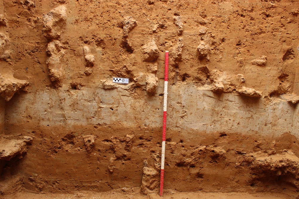 Archaeological Survey of India